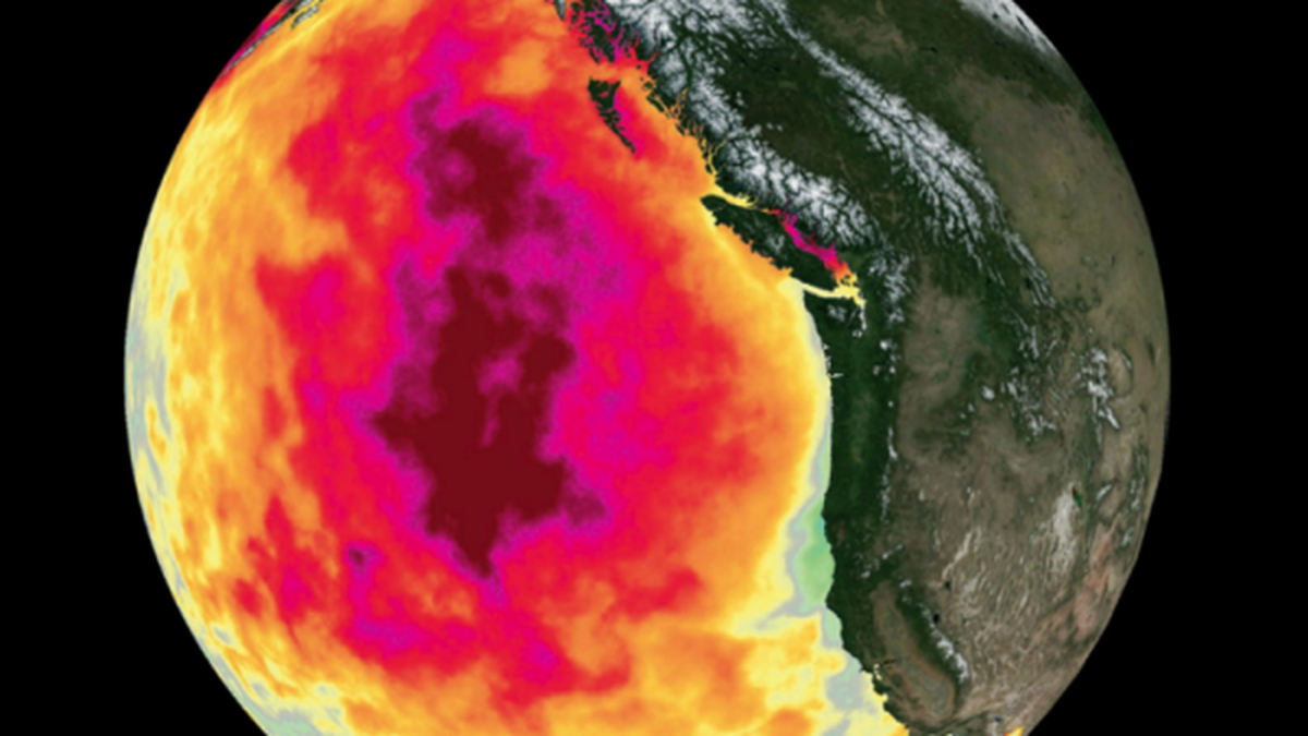 The Blob threatens the Pacific ocean, again - BusinessLine on Campus